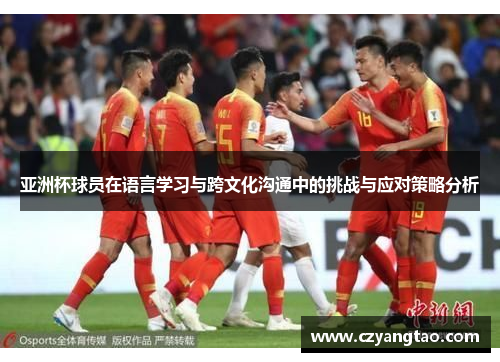 亚洲杯球员在语言学习与跨文化沟通中的挑战与应对策略分析