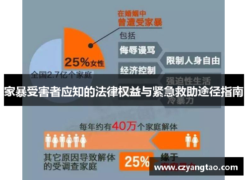家暴受害者应知的法律权益与紧急救助途径指南